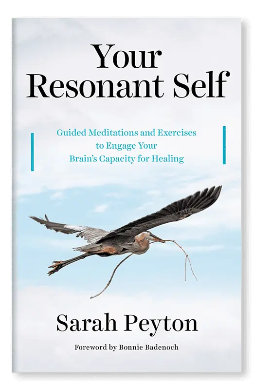 Your Resonant Self Book